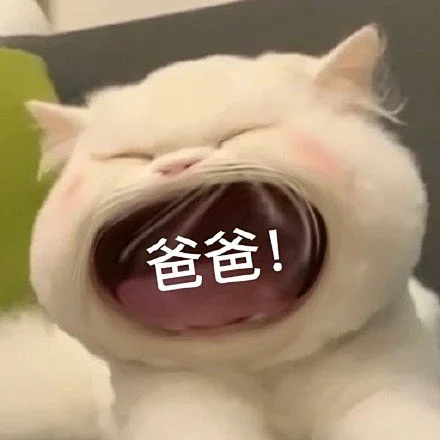 已删除